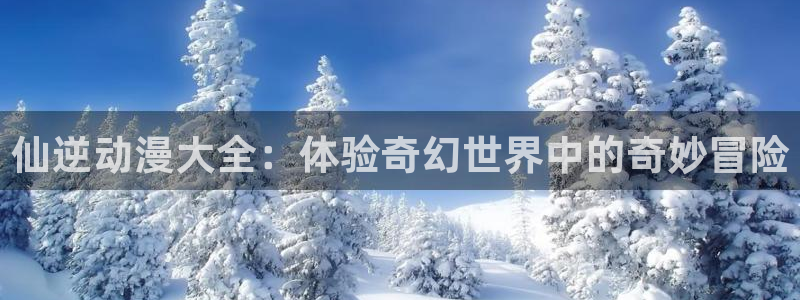 风车动漫官网网站入口：仙逆动漫大全：体验奇幻世界中的奇妙冒险