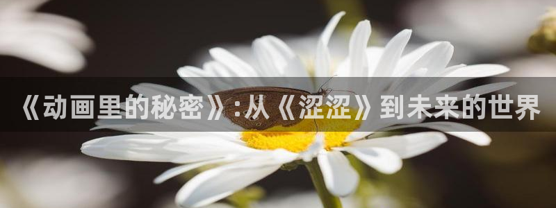 备长炭风车动漫：《动画里的秘密》:从《涩涩》到未来的世界