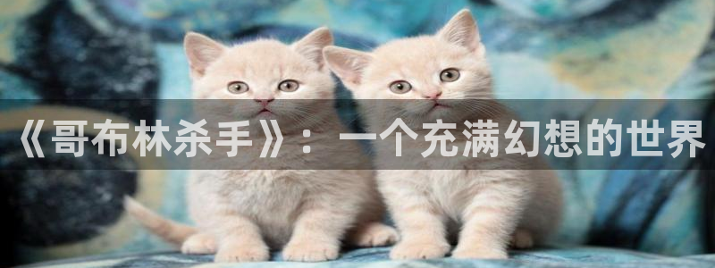 风车动漫官方：《哥布林杀手》：一个充满幻想的世界