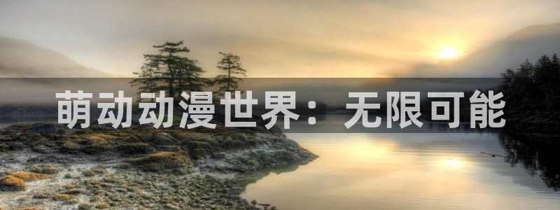 新风车动漫：萌动动漫世界：无限可能